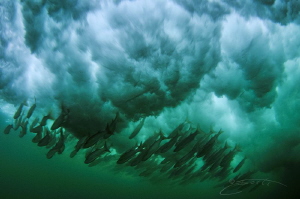 ~ Escaping the Storm ~ by Geo Cloete 
